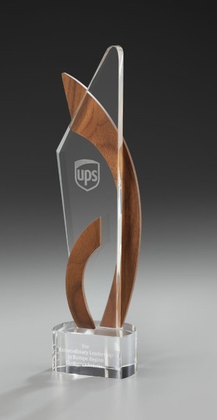 Wooden Momentum Award
