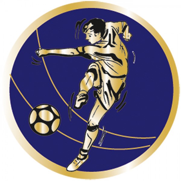 Emblem Dunkelblau-Gold 95 verschiedene Motive