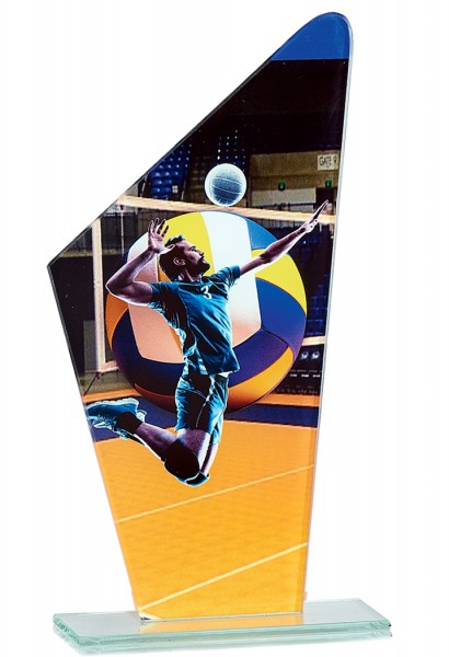 Sport Trophies mit Farbdruck "Volleyball "